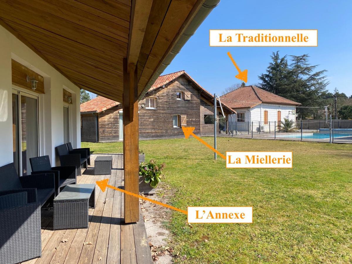 Ensemble De 3 Villas Avec Piscine Chauffee, Esprit Detente サンギネ エクステリア 写真